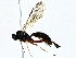  ( - BIOUG79408-E06)  @11 [ ] CreativeCommons - Attribution (2022) CBG Photography Group Centre for Biodiversity Genomics
