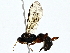  ( - BIOUG79408-E07)  @11 [ ] CreativeCommons - Attribution (2022) CBG Photography Group Centre for Biodiversity Genomics