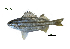  ( - HsC10_Lpu)  @11 [ ] Unspecified (default): All Rights Reserved  Unspecified Unspecified