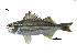  ( - HsC2_Lpu)  @11 [ ] Unspecified (default): All Rights Reserved  Unspecified Unspecified
