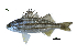  ( - HsC7_Lpu)  @11 [ ] Unspecified (default): All Rights Reserved  Unspecified Unspecified