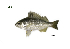  ( - PQL10_Lpu)  @11 [ ] Unspecified (default): All Rights Reserved  Unspecified Unspecified