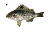  ( - PQL11_Lpu)  @11 [ ] Unspecified (default): All Rights Reserved  Unspecified Unspecified