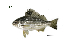  ( - PQL2_Lpu)  @11 [ ] Unspecified (default): All Rights Reserved  Unspecified Unspecified