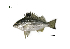  ( - PQL3_Lpu)  @11 [ ] Unspecified (default): All Rights Reserved  Unspecified Unspecified