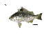  ( - PQL7_Lpu)  @11 [ ] Unspecified (default): All Rights Reserved  Unspecified Unspecified