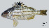  ( - TeB5_Lpu)  @11 [ ] Unspecified (default): All Rights Reserved  Unspecified Unspecified