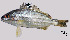  ( - TeB6_Lpu)  @11 [ ] Unspecified (default): All Rights Reserved  Unspecified Unspecified
