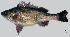  ( - TeF2_Lpu)  @11 [ ] Unspecified (default): All Rights Reserved  Unspecified Unspecified