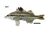  ( - TpC6_Lpu)  @11 [ ] Unspecified (default): All Rights Reserved  Unspecified Unspecified