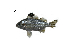  ( - TtI-5_Lpu)  @11 [ ] Unspecified (default): All Rights Reserved  Unspecified Unspecified