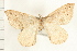  ( - PFC-2006-1141)  @13 [ ] CreativeCommons - Attribution (2008) Unspecified Centre for Biodiversity Genomics