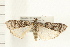  ( - PFC-2006-1146)  @13 [ ] CreativeCommons - Attribution (2008) Unspecified Centre for Biodiversity Genomics