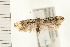  ( - PFC-2006-1213)  @13 [ ] CreativeCommons - Attribution (2008) Unspecified Centre for Biodiversity Genomics