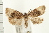  ( - PFC-2006-0033)  @14 [ ] CreativeCommons - Attribution (2008) Unspecified Centre for Biodiversity Genomics