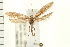  ( - PFC-2006-0039)  @14 [ ] CreativeCommons - Attribution (2008) Unspecified Centre for Biodiversity Genomics