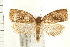  ( - PFC-2006-0069)  @13 [ ] CreativeCommons - Attribution (2008) Unspecified Centre for Biodiversity Genomics