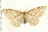  ( - PFC-2006-0094)  @12 [ ] CreativeCommons - Attribution (2008) Unspecified Centre for Biodiversity Genomics