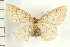  ( - PFC-2006-0098)  @12 [ ] CreativeCommons - Attribution (2008) Unspecified Centre for Biodiversity Genomics