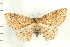  ( - PFC-2006-0100)  @12 [ ] CreativeCommons - Attribution (2008) Unspecified Centre for Biodiversity Genomics
