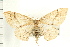  ( - PFC-2006-0102)  @12 [ ] CreativeCommons - Attribution (2008) Unspecified Centre for Biodiversity Genomics