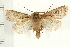  ( - PFC-2006-0154)  @14 [ ] CreativeCommons - Attribution (2008) Unspecified Centre for Biodiversity Genomics