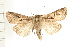  ( - PFC-2006-0156)  @14 [ ] CreativeCommons - Attribution (2008) Unspecified Centre for Biodiversity Genomics