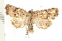  ( - PFC-2006-0166)  @11 [ ] CreativeCommons - Attribution (2008) Unspecified Centre for Biodiversity Genomics