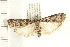  ( - PFC-2006-0183)  @14 [ ] CreativeCommons - Attribution (2008) Unspecified Centre for Biodiversity Genomics