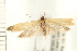  ( - PFC-2006-0194)  @14 [ ] CreativeCommons - Attribution (2008) Unspecified Centre for Biodiversity Genomics