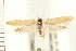  ( - PFC-2006-0197)  @14 [ ] CreativeCommons - Attribution (2008) Unspecified Centre for Biodiversity Genomics