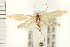  ( - PFC-2006-0199)  @14 [ ] CreativeCommons - Attribution (2008) Unspecified Centre for Biodiversity Genomics