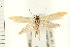  ( - PFC-2006-0200)  @14 [ ] CreativeCommons - Attribution (2008) Unspecified Centre for Biodiversity Genomics