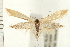  ( - PFC-2006-0202)  @14 [ ] CreativeCommons - Attribution (2008) Unspecified Centre for Biodiversity Genomics