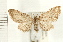  ( - PFC-2006-0205)  @14 [ ] CreativeCommons - Attribution (2008) Unspecified Centre for Biodiversity Genomics