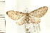  ( - PFC-2006-0208)  @14 [ ] CreativeCommons - Attribution (2008) Unspecified Centre for Biodiversity Genomics