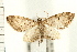  ( - PFC-2006-0209)  @14 [ ] CreativeCommons - Attribution (2008) Unspecified Centre for Biodiversity Genomics