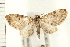  ( - PFC-2006-0210)  @14 [ ] CreativeCommons - Attribution (2008) Unspecified Centre for Biodiversity Genomics