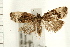  ( - PFC-2006-0227)  @14 [ ] CreativeCommons - Attribution (2008) Unspecified Centre for Biodiversity Genomics