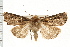  ( - PFC-2006-0380)  @14 [ ] CreativeCommons - Attribution (2008) Unspecified Centre for Biodiversity Genomics