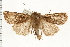  ( - PFC-2006-0381)  @14 [ ] CreativeCommons - Attribution (2008) Unspecified Centre for Biodiversity Genomics