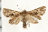  ( - PFC-2006-0383)  @13 [ ] CreativeCommons - Attribution (2008) Unspecified Centre for Biodiversity Genomics