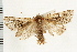  ( - PFC-2006-0384)  @13 [ ] CreativeCommons - Attribution (2008) Unspecified Centre for Biodiversity Genomics