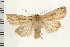  ( - PFC-2006-0389)  @14 [ ] CreativeCommons - Attribution (2008) Unspecified Centre for Biodiversity Genomics