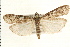  ( - PFC-2006-0476)  @14 [ ] CreativeCommons - Attribution (2008) Unspecified Centre for Biodiversity Genomics