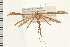  ( - PFC-2006-0480)  @14 [ ] CreativeCommons - Attribution (2008) Unspecified Centre for Biodiversity Genomics