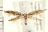  ( - PFC-2006-0260)  @13 [ ] CreativeCommons - Attribution (2008) Unspecified Centre for Biodiversity Genomics