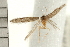  ( - PFC-2006-0266)  @12 [ ] CreativeCommons - Attribution (2008) Unspecified Centre for Biodiversity Genomics