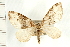  ( - PFC-2006-0291)  @13 [ ] CreativeCommons - Attribution (2008) Unspecified Centre for Biodiversity Genomics
