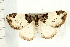  ( - PFC-2006-0292)  @13 [ ] CreativeCommons - Attribution (2008) Unspecified Centre for Biodiversity Genomics